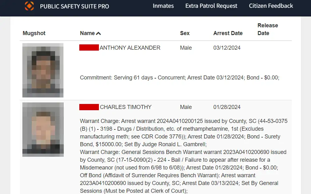 A screenshot of the inmate search results displays the individuals' mugshots, names, arrest dates, release dates, commitments, warrant charges, and bonds, if applicable, taken from the website of the Anderson County Sheriff's Office.